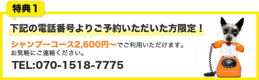Dogsalon ズートピア シャンプー トリミングの料金 Dogsalon ズートピア シャンプー トリミングの料金